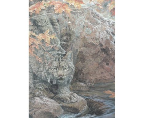 A Limited Edition print after Lee Kromshroeder, wild cat, signed, 23in x 18in