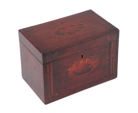A Georgian mahogany tea caddy inlaid with conus patae to the lid and the front, 21cms wide.