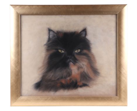 K. L. Manell, study of a tortoiseshell Persian cat, signed lower right corner, pastel , framed and glazed, 49cm by 41cm.