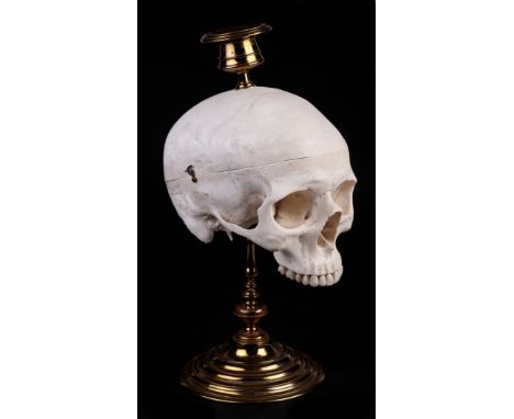 A Momento Mori skull from brass candle stick, 32cm high Condition ReportThe skull is made in plastic, it it not a real human 