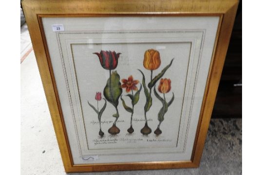 A Large Pair Of Botanical Prints In Gold Frames 50cm X 43cm Auction Date