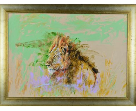 JOHN ANDERSON (BRITISH CONTEMPORARY), A PORTRAIT STUDY OF A MALE LION, signed verso, acrylic on board, framed, approximate si