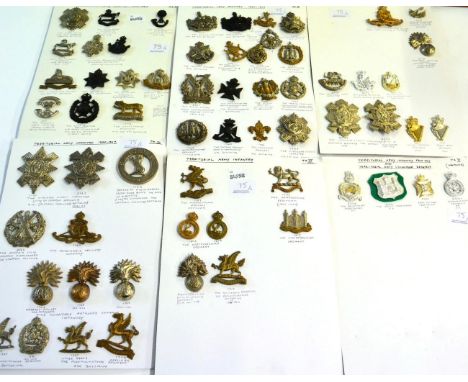 A Collection of Sixty-Three Military Cap and Other Badges, in brass, bi-metal, white metal and staybrite, possibly including 