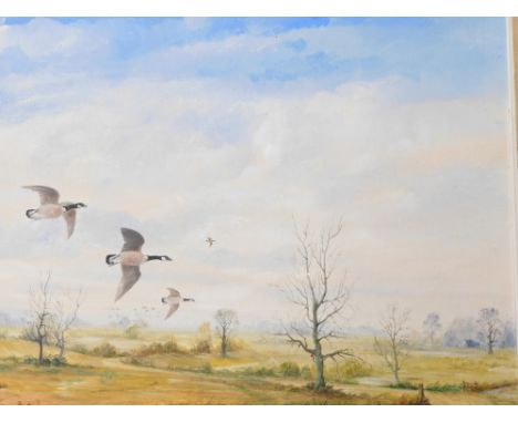 R. Donaldson (20thC).  Canadian Geese in flight above a landscape, oil on canvas, signed, 40cm x 50cm.