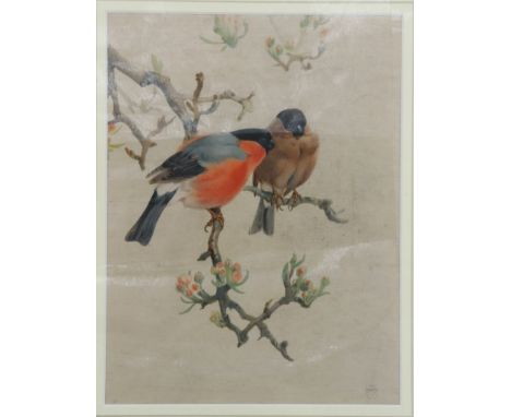 Winifred Austin (1876 - 1964) A study of a pair of Bullfinches perched on a branch of a blossoming tree, print on silk, monog