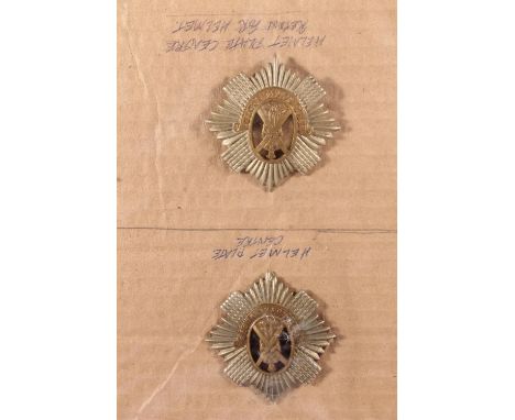 Ring binder folder containing Royal Scots insignia to include cap badges, buttons, collar badges, shoulder titles etc. over 1