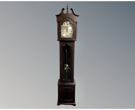 A Tempus Fugit longcase clock with pendulum and weights.