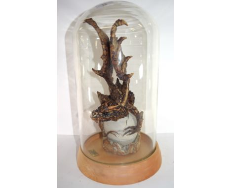 Large ceramic sculpture of a mythical dragon above an egg, designed by Graham Piggott, the dragon on wooden base with heavy g