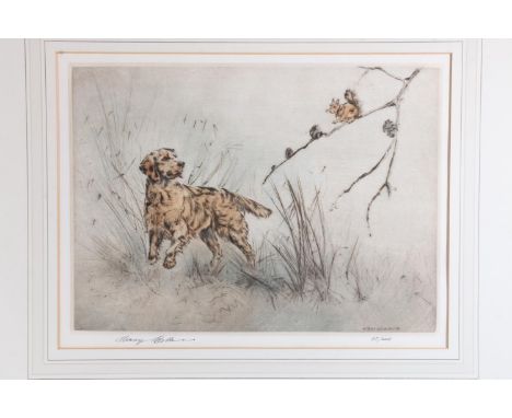 HENRY WILKINSON (British, 1921-2011), dog and squirrel, coloured print, pencil signed limited edition 65/200, 25cm x 34cm. 