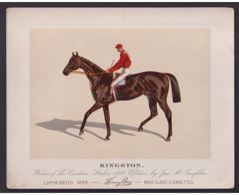 Cigarette card, USA, Kinney Bros, Racehorses, extra large non-insert card, 'Kingston', 253mm x 203mm (one light corner crease
