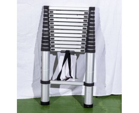 A collapsible telescopic straight ladder