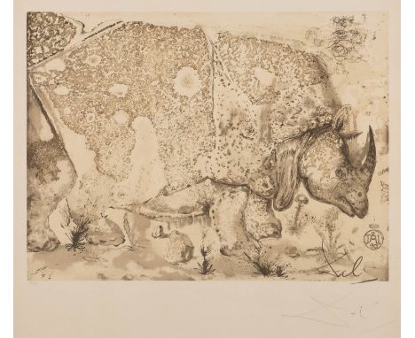   SALVADOR DALÍ  1904 Figueres, Girona - 1989 ebenda    LE RHINOCÉROS     Farblithografie auf Velin. DM 36,5 x 49,5 cm (R. 70