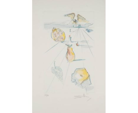   SALVADOR DALÍ  1904 Figueres, Girona - 1989 ebenda    'DIE FRÜCHTE DES TALES' (AUS: 'DAS HOHE LIED DES SALOMON', 1971)     