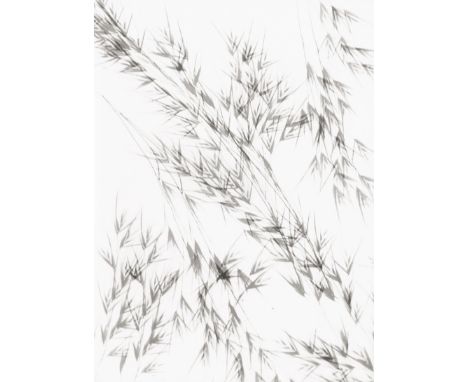 Landauer, Lou -- Photogram of oat grass. 1942. Vintage gelatin silver print. 24 x 18 cm. Photographer's estate stamp on the v