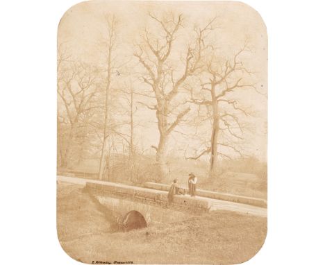 [*] Völkerling, Gustav -- Tree study from the series "Dessauer Eichen (Oaks in Dessau)". 1859. Varnished salted paper print w