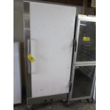 Artic Air Freezer on Casters