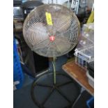 Floor Fan