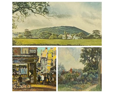 F BRINDLE watercolour - country cottage with path and gate to the foreground, signed and dated 1913, 39 x 29cms, JOHN ROSSER 