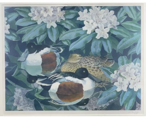 C F TUNNICLIFFE print - ducks amongst foliage, signed in pencil, 40 x 50cms