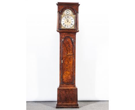 Walnut longcase clock, hood with moulded cornice, turned columns, long arched door moulded outlines, plinth base, arched bras