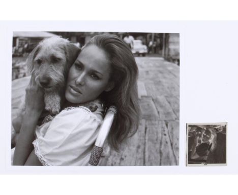 James Bond Dr. No (1962) Original 2.25 x 2.25 inch black and white negative showing Ursula Andress relaxing with a dog on loc