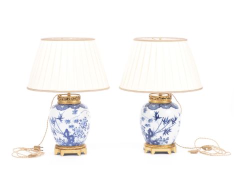Deux pots à gingembre en porcelaine de Chine en bleu &amp; blanc à décor d'insectes et oiseaux sur fond végétal. Transformés 