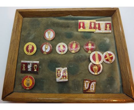 Fifteen Liverpool FC enamel badges