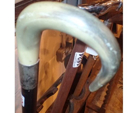 Horn handled walking stick with hallmarked silver collar ( not engraved )