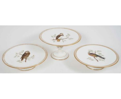 Three 19th century footed ornithological dishes, finely painted in polychrome enamels with gilt-patterned borders, one with i