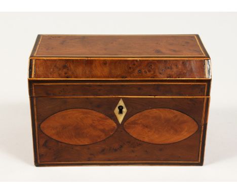 A GEORGE III THYA WOOD TWO DIVISION TEA CADDY, the front with two ovals. 7ins long.