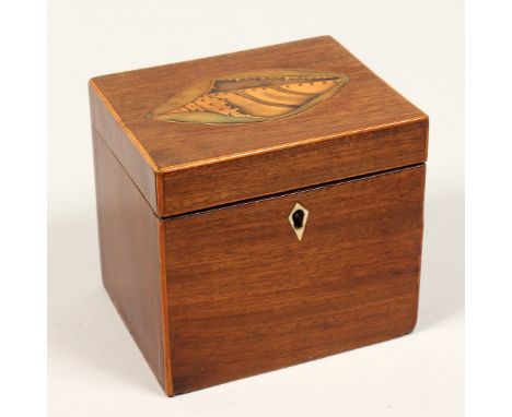 A SMALLGEORGE III SQUARE TEA CADDY with wood inlay as a shell. 4.5ins.