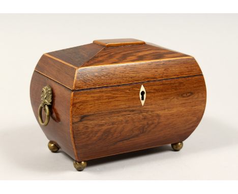 A REGENCY ROSEWOOD DOMED TOP TWO DIVISION TEA CADDY with brass handles and feet. 8ins long.