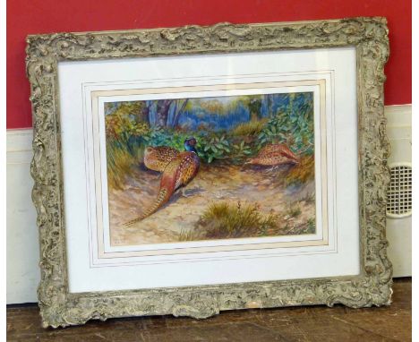 Graham Payne- 20th century pheasents- Watercolour (Royal Worcester Artist) Unfortunately we are unable to do condition report
