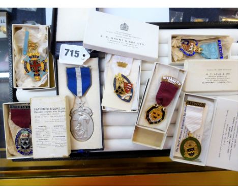 A collection of Masonic jewelscomprising a boxed 'Aegros Sanat Humanitas' Freemason Hospital jewel medal; a boxed silver gilt