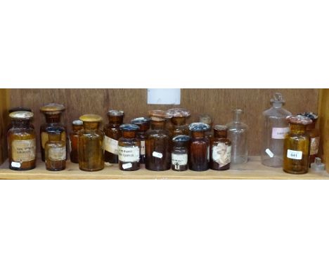 A shelf of Antique chemist's jars, tallest 19.5cm 