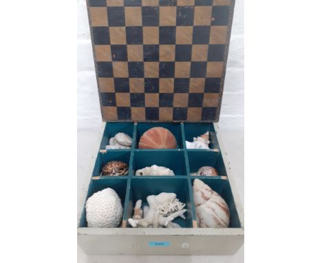 A collection of shells and coral to include an urchin shell housed in a vintage chess box with chequered lid. Location:1.3 