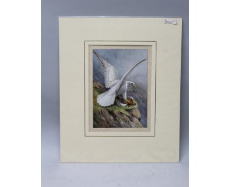 ROWLAND GREEN "Gyr Falcon", alighting its prey, a colour print, signed to margin, mounted, unframed 