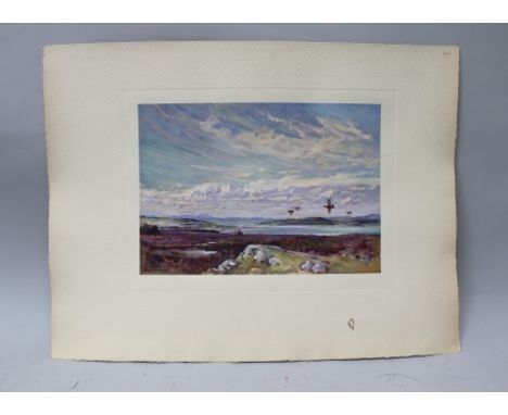 LIONEL EDWARDS "Grouse in Flight", a colour print, unframed 