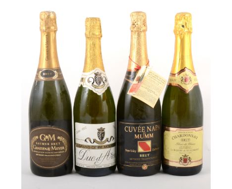 Eleven bottles of assorted sparkling wine, including Mumm Cuvée Napa Brut; Bohemia Regia Sekt (2 bottles); Gratien &amp; Meye