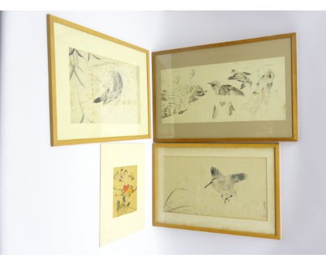 Japanese Meiji period drawing of a group of 4 various birds in pen, ink and colour, signed, 56 x 27, Manner of Kawanabe Kyosa