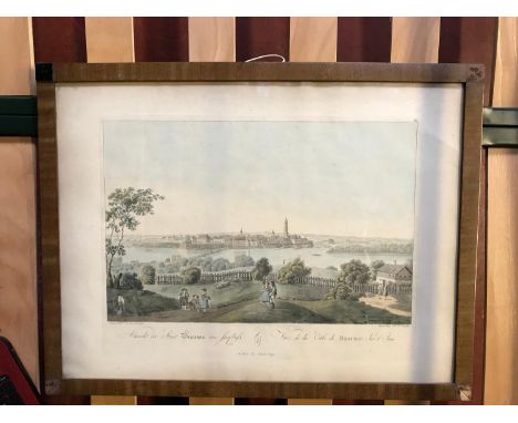 Old coloured etching by Johann Cappi 
