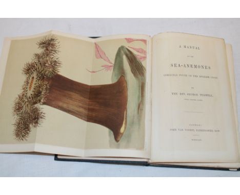 Tugwell (Rev. G.) A Manual of the Sea-Anemones Commonly Found on the English Coast, 1 vol., colour and B & W illus., 1856