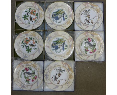 Eight Royal Worcester, John James Audubon birds of America; Scrub or Florida Jay, Swainson's Warbler, Grey Kingbird and Tree 