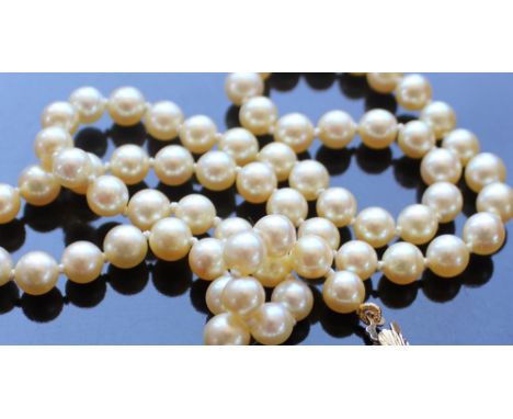 A pearl necklace, set with seventy regular individually knotted pearls to a 9ct gold clasp, together with a bead necklace CON