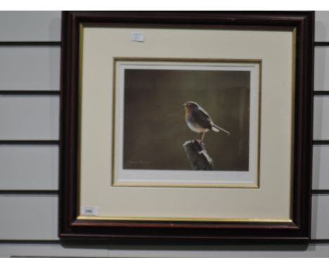 A framed limited edition print after Steven Townsend, Morning Glory, bearing signature to mount 191/400 8 inches x 10 inches