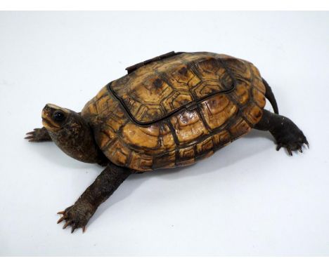 A 19th century inkwell in the form of a tortoise, 18 cm in length