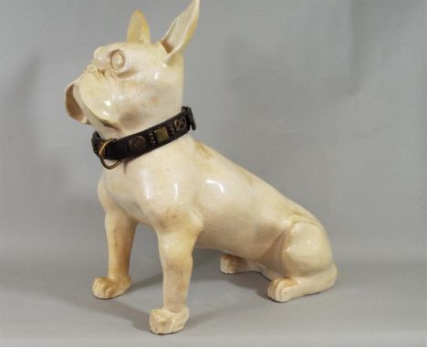 A ceramic crackle glazed French Bulldog wearing an old leather collar with brass stud and other detail, 39 cm high