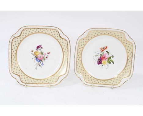 A pair of Spode yellow ground plates, c.1825, painted with floral sprays, printed marks, 21cm acrossCondition report: Good co