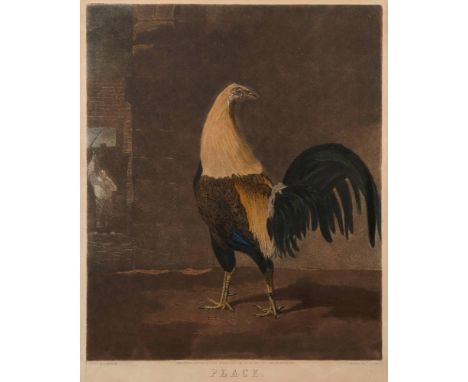 FIGHTING COCKS : a pair of mixed media coloured prints, 480 x 390 mm, C. Turner after B Marshall - 'War' and 'Peace'. f & g, 
