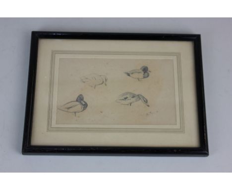 Archibald Thorburn FZS (1860-1935), a framed pencil sketch of mallard ducks, initialled, verso inscribed paper label for The 